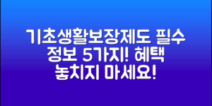 **기초생활보장제도, 알아야 할 필수 정보 5가지**