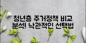 청년층을 위한 다양한 주거정책 비교 분석과 낙관적인 선택 방법 안내.