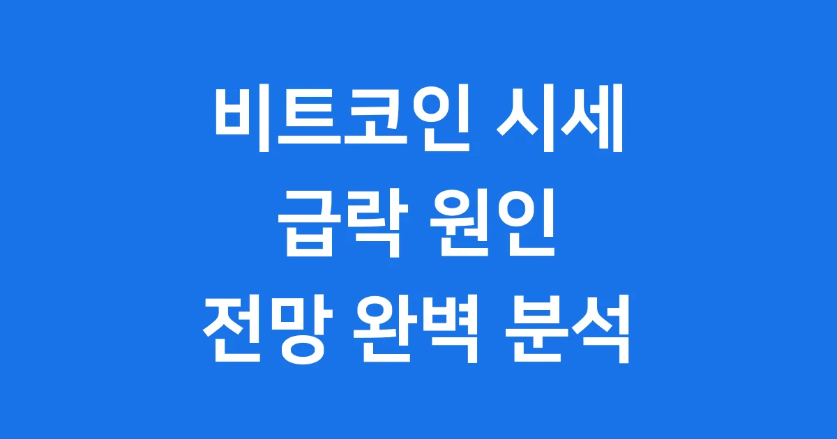비트코인시세 2026년 급락 원인 전망 분석