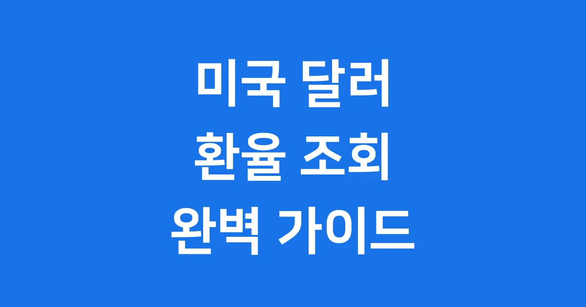 미국환율 조회 사이트 변동 원인